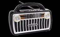 Радиоприемник Telefunken TF-1695UB Black/Silver