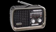 Радиоприемник Telefunken TF-1694UB Brown