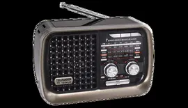 Радиоприемник Telefunken TF-1694UB Brown