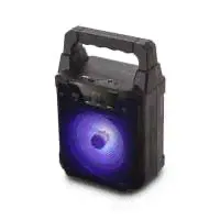 Колонка Telefunken TF-PS1229B Black-0