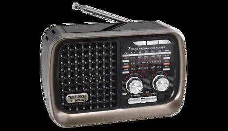 Радиоприемник Telefunken TF-1694UB Brown-0