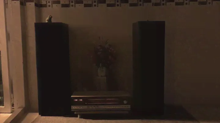 Telefunken Hifi 301