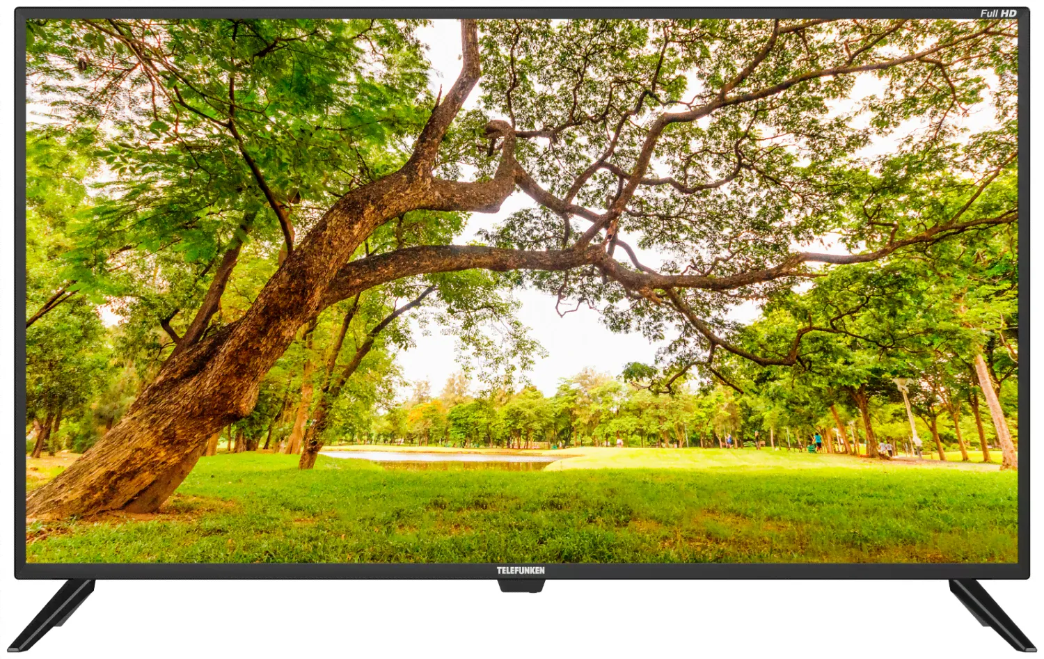 Телевизор TELEFUNKEN TF-LED42S12T2 42", черный-1