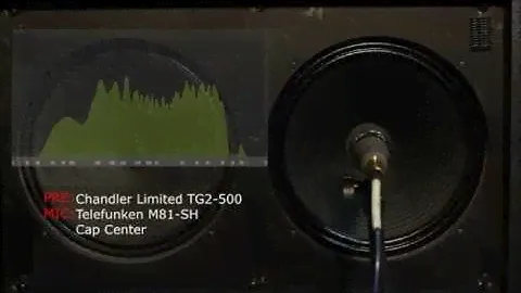Telefunken M81 vs M80 Mic shootout (Guitar Amp)