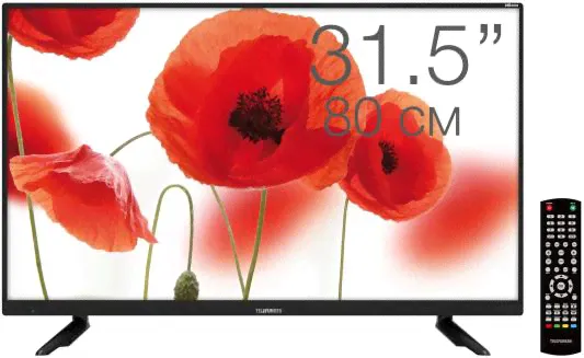 Телевизор Telefunken TF-LED32S45T2 черный
