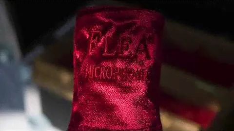 FleA ELA M 251 sn 078 & 079   HD 1080p