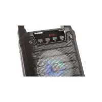 Колонка Telefunken TF-PS1229B Black-2