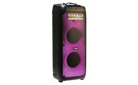 Портативная колонка TELEFUNKEN TF-MS3303 Black (Р00004584)