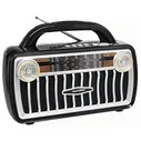 Радиоприемник TELEFUNKEN TF-1695UB(черный с серебром)