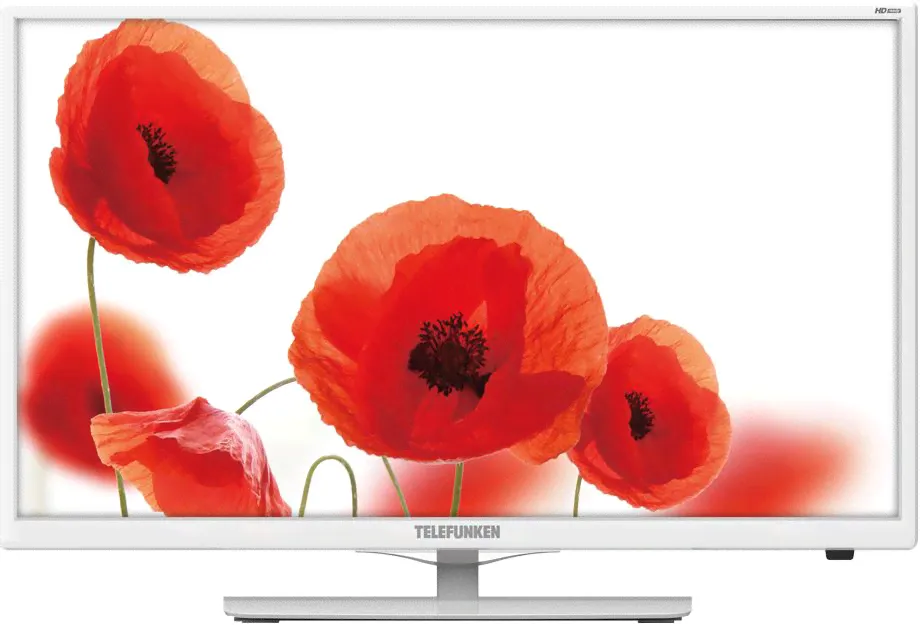 Телевизор TELEFUNKEN TF-LED24S38T2 белый-1