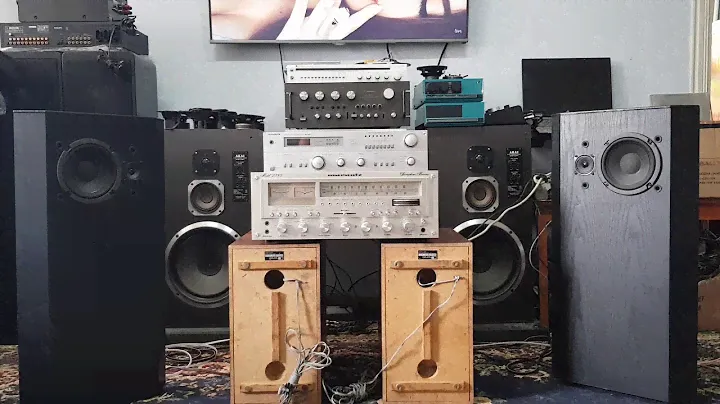 BOSE 401 Direct Reflecting & Telefunken rr 200 test