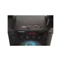 Колонка Telefunken TF-PS1229B Black-1